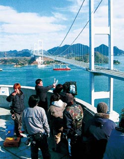 �D���~�肽��ޏ��̓��̐��앗�i