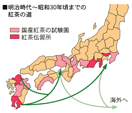 �g���̓��̐}