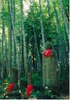 ���[�ɐl�����āA���������Ă����