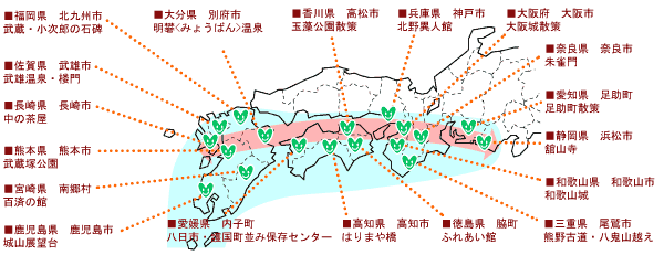 ��蕔�}�b�v